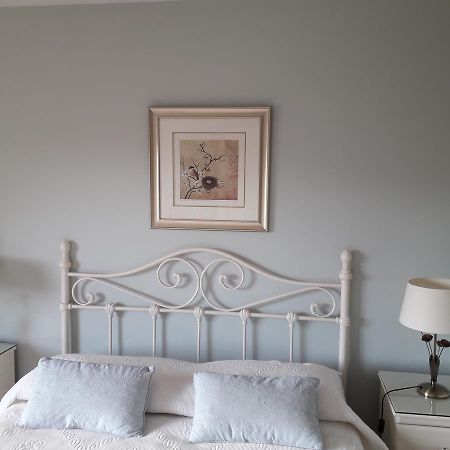 Airport Manor Accommodation Shannon Extérieur photo