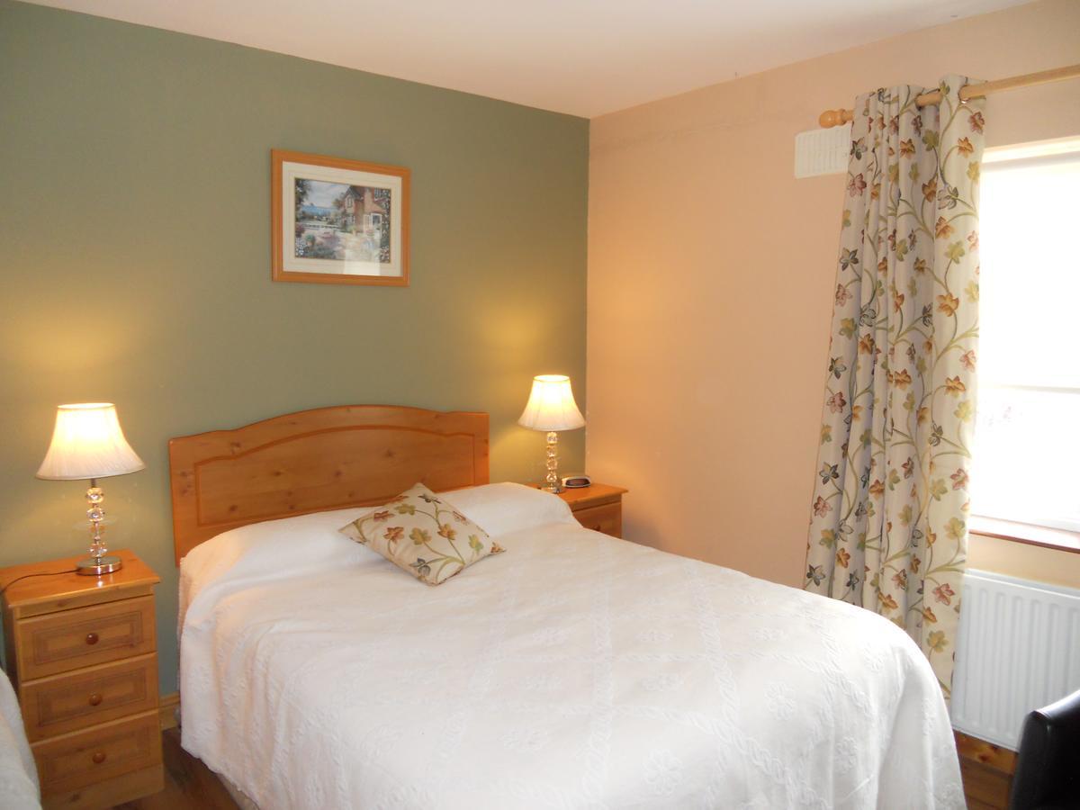 Airport Manor Accommodation Shannon Extérieur photo