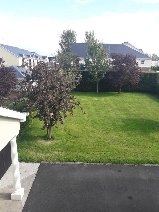 Airport Manor Accommodation Shannon Extérieur photo